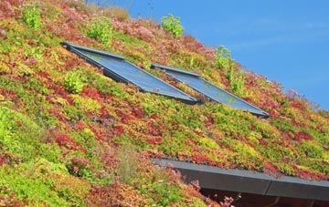 Knowle Grove living roof systems
