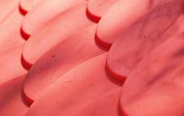 Knowle Grove plastic roof costs